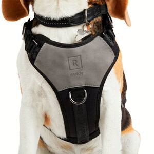 Reddy Arnés de Ajuste Romano Diseño Jacquard Color Negro para Perro, XX-Grande/XXX-Grande