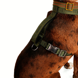 Reddy Arnés de Ajuste Romano Diseño Jacquard Color Verde para Perro, X-Grande/XX-Grande