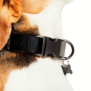 Reddy Collar Diseño Jacquard Color Negro para Perro, Grande/X-Grande
