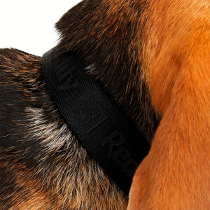 Reddy Collar Diseño Jacquard Color Negro para Perro, Grande/X-Grande