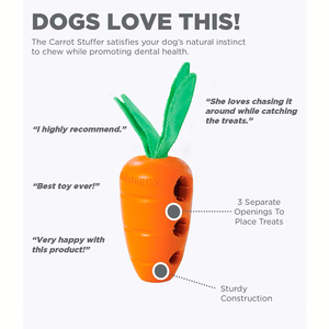 Petstages Dispensador de Premios Diseño Zanahoria para Perro, X-Chico