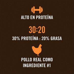 WholeHearted Active Performance Alimento para Perro Activo Todas las Edades Receta Pollo y Arroz, 20.4 kg