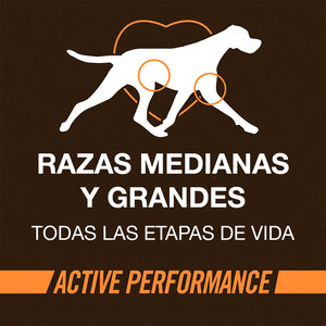 WholeHearted Active Performance Alimento para Perro Activo Todas las Edades Receta Pollo y Arroz, 13.6 kg