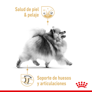 Royal Canin Alimento Seco para Perro Adulto Raza Pomerania, 4.54 kg
