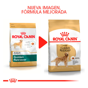 Royal Canin Alimento Seco para Perro Adulto Raza Golden Retriever, 13.6 ...