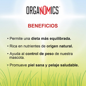 OrgaNOMics Alimento Húmedo con Ingredientes Orgánicos para Perro Adulto Receta Cordero y Res, 354 g
