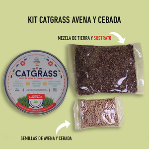 Un Dos Treats Catgrass Kit de Germinación para Pasto de Avena y Cebada para Gato