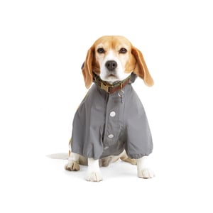 Reddy Spring Chamarra Empacable Naranja/Gris para Perro, XX-Chica