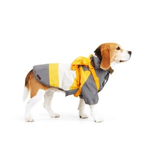 Reddy Spring Chamarra Empacable Naranja/Gris para Perro, XX-Chica