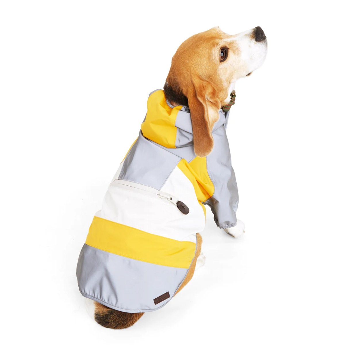 Reddy Spring Chamarra Empacable Naranja/Gris para Perro, XX-Chica