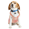 Youly Spring, Camiseta Tie Dye Rosa/Naranja, Chica Youly Spring, Camiseta Tie Dye Rosa/Naranja, Chica