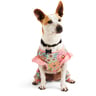 Youly Spring Pijama Floral Multicolor para Perro, X-Chica Youly Spring Pijama Floral Multicolor para Perro, X-Chica