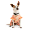 Youly Spring Pijama Floral Naranja, Mediana Youly Spring Pijama Floral Naranja, Mediana