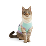 Youly Spring, Sudadera Colorblock Aqua, Chica/Mediana Youly Spring, Sudadera Colorblock Aqua, Chica/Mediana
