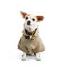 Reddy Spring, Sudadera Olivo Camuflaje, XX-Chica Reddy Spring, Sudadera Olivo Camuflaje, XX-Chica