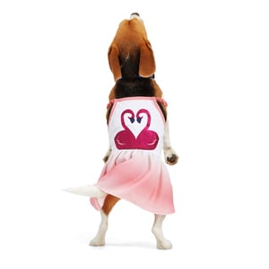Youly Spring Vestido con Print de Flamingos para Perro, X-Grande Youly Spring Vestido con Print de Flamingos para Perro, X-Grande