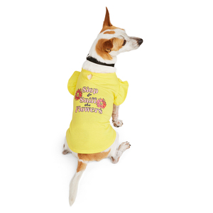 Youly Spring Blusa con print en Color Amarillo, Chica Youly Spring Blusa con print en Color Amarillo, Chica