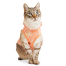 Youly Spring Playera Floral Ruffle para Perro, Chica/Mediana Youly Spring Playera Floral Ruffle para Perro, Chica/Mediana