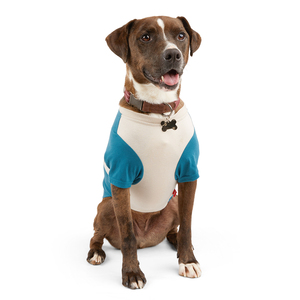Reddy Spring, Playera Colorblock Azul/Blanco, Chica Reddy Spring, Playera Colorblock Azul/Blanco, Chica