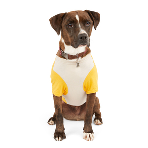 Reddy Spring, Playera Colorblock Amarilla, Chica Reddy Spring, Playera Colorblock Amarilla, Chica