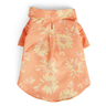Youly Spring Camisa Sketched Floral, Mediana Youly Spring Camisa Sketched Floral, Mediana