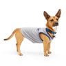 Youly Camiseta sin Mangas Gris Park Vibes para Perro, Mediana Youly Camiseta sin Mangas Gris Park Vibes para Perro, Mediana