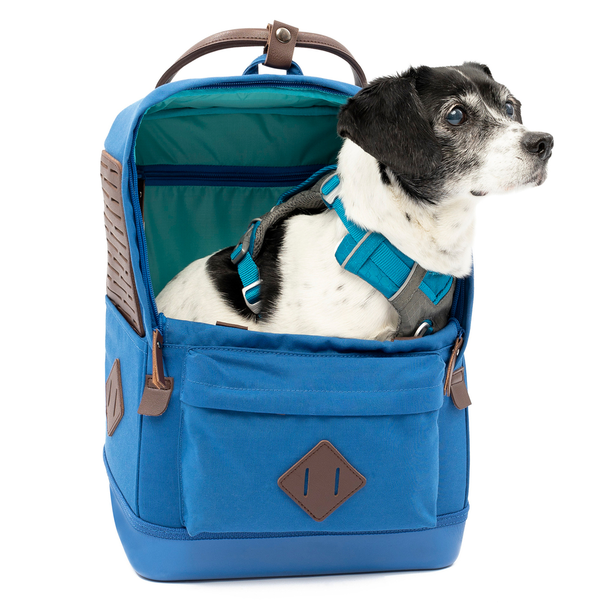 por inadvertencia tugurio Nominación Kurgo Backpack Nomad Color Azul para Perro, Unitalla | Perro | PRODUCTOS |  Petco Mexico