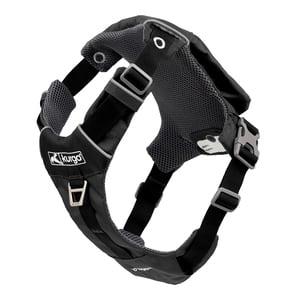 Kurgo Arnés Stash n Dash Color Negro Mediano para Perro Kurgo Arnés Stash n Dash Color Negro Mediano para Perro