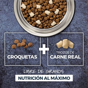 Instinct Raw Boost Alimento Seco Natural para Perro Todas las Etapas de Vida Receta Salmón, 8.6 kg