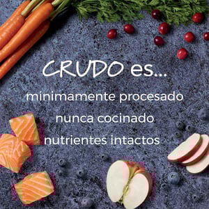 Instinct Raw Boost Alimento Seco Natural para Perro Todas las Etapas de Vida Receta Salmón, 8.6 kg