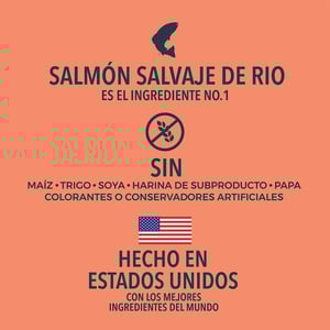 Instinct Raw Boost Alimento Seco Natural para Perro Todas las Etapas de Vida Receta Salmón, 8.6 kg