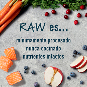 Instinct Raw Boost Alimento Seco Natural con Cereales Integrales para Perro Todas las Etapas de Vida Receta Salmón y Arroz Integral, 2 kg