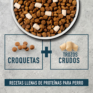 Instinct Raw Boost Alimento Seco Natural con Cereales Integrales para Perro Todas las Etapas de Vida Receta Salmón y Arroz Integral, 2 kg