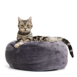 EveryYay Cama Circular de Borde Alto Ortopédica Diseño Puff para Gato