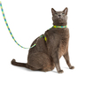 Youly The Outsider Set de Arnés y Correa Diseño Cuerda Reflectante para Gato, Verde Youly The Outsider Set de Arnés y Correa Diseño Cuerda Reflectante para Gato, Verde