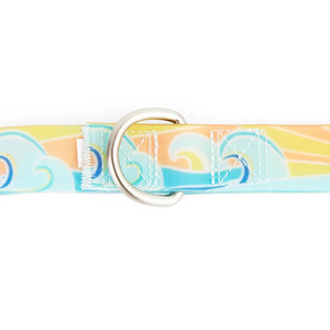 Youly Correa Impermeable Diseño Puesta de Sol MultiColor para Perro, 1.8 m