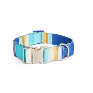 Youly Collar Ajustable Diseño Líneas Azul/ Naranja con Broche para Perro, XX-Grande/ XXX-Grande