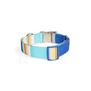 Youly Collar Ajustable Diseño Líneas Azul/ Naranja con Broche para Perro, XX-Grande/ XXX-Grande