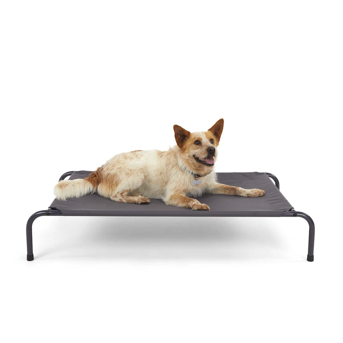 EveryYay Cama Elevada con Marco de Acero para Perro, Mediano