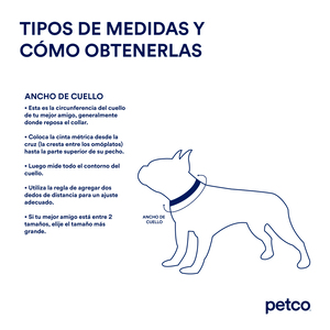 Youly Collar Ajustable Diseño Arcoíris Reflectante con Broche para Perro, Chico