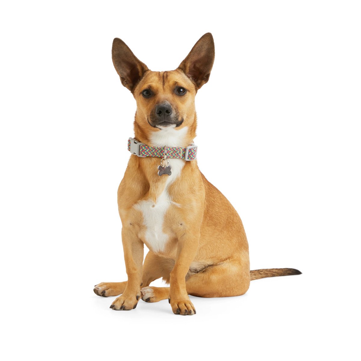 Youly Collar Ajustable Diseño Arcoíris Reflectante con Broche para Perro, Chico