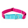 EveryYay Collar Martingale para Adiestramiento Color Turquesa para Perro, Chico EveryYay Collar Martingale para Adiestramiento Color Turquesa para Perro, Chico