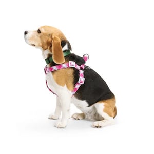 Youly Arnés Ligero Ajuste Americano Reflectante Color Rosa para Perro, Chico Youly Arnés Ligero Ajuste Americano Reflectante Color Rosa para Perro, Chico