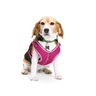 EveryYay Arnés Híbrido Reflectante Ajuste Americano Color Rosa para Perro, Mediano EveryYay Arnés Híbrido Reflectante Ajuste Americano Color Rosa para Perro, Mediano