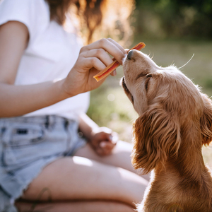 SmartBones Premios Masticables Naturales con Forma de Stick Receta Mantequilla de Maní para Perro, 92 g