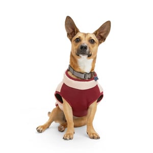 Reddy Chamarra Primaloft Rosa para Perro, XXX-Grande Reddy Chamarra Primaloft Rosa para Perro, XXX-Grande