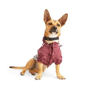Reddy Rompevientos Color Vino para Perro, XXX-Grande Reddy Rompevientos Color Vino para Perro, XXX-Grande