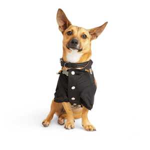 Reddy RompeVientos Color Negro para Perro, Chico Reddy RompeVientos Color Negro para Perro, Chico