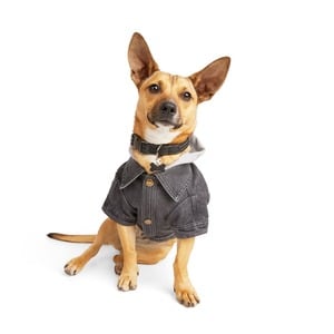 Reddy Chaqueta de Mezclilla para Perro, Mediano Reddy Chaqueta de Mezclilla para Perro, Mediano