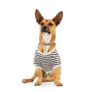 Reddy Playera Símbolos de Amor y Paz para Perro, Chico Reddy Playera Símbolos de Amor y Paz para Perro, Chico